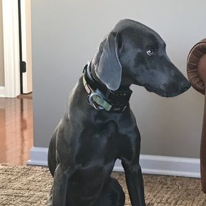 Meet your Posher, Claire